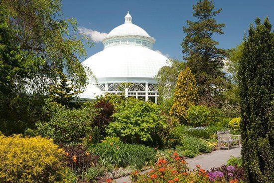 Jardin botanique de New York